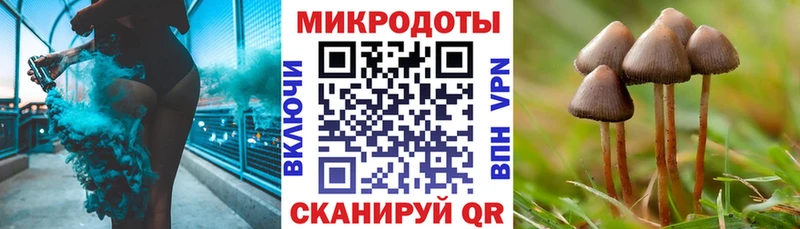 Галлюциногенные грибы мицелий купить наркоту Заозёрный